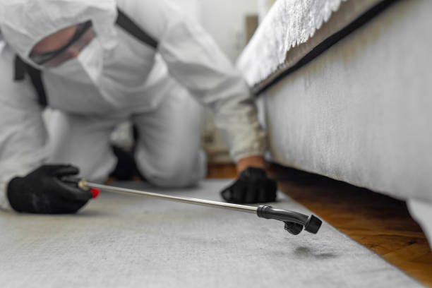 Professional Termite Control technician working in Echelon, NJ