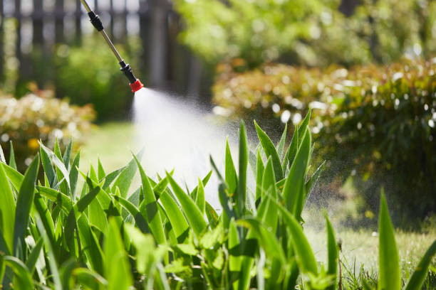 24/7 Emergency Termite Control experts in Echelon, NJ