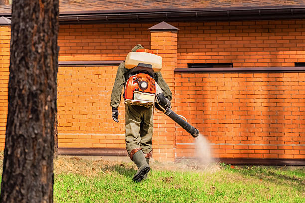 Trusted Bed Bug Control service in Echelon, NJ - Nex Pest Control